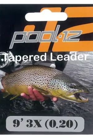 Expédié Aujourd'hui Pool 12 Taperade Tafsar 9' 4X 0,18mm