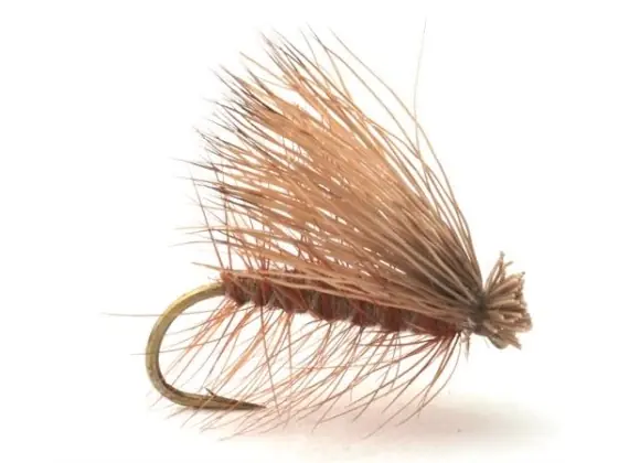 Guideline Elk Caddis Brown # 12 Offre Spéciale