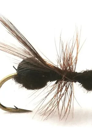 Guideline Flying Ant / Myra Black # 12 Certifié