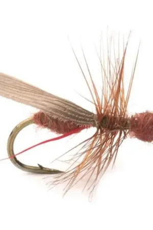 Guideline Flying Ant Cinnamon # 12 Authentique
