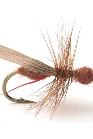 Guideline Flying Ant Cinnamon # 16 Dernier Modèle