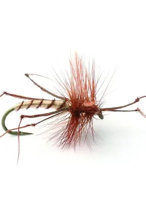 Commande En Gros Daddy Long Legs Tørr - 10