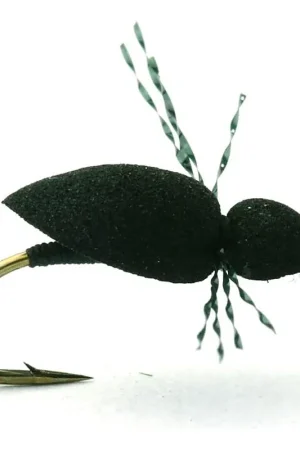 Bon Plan Foam Spider Sort Tørr - 12