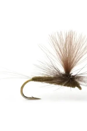 Baetis Dark Olive - 14 Vente Flash