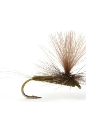 Vente Flash Guideline Baetis Dark Olive - #16
