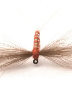 CDC Flash Spinner, #17 Promotion Saisonnière