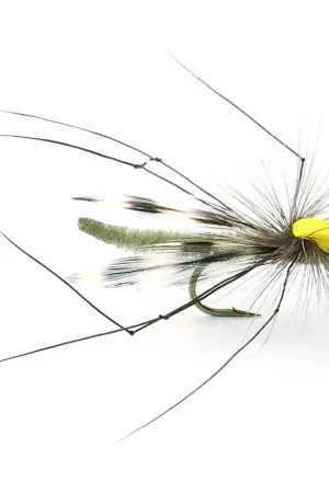 Parachute Longlegs - 10 Vente Flash