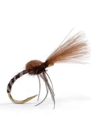 Spider Midge Genders Black, #16 Livraison Express