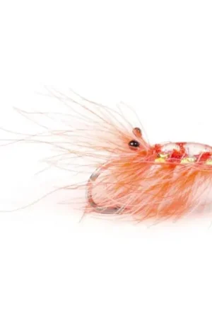 Seulement Aujourd'hui Runars CDC Reke, Orange #6
