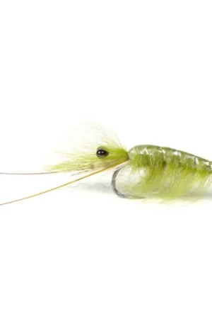 Olive CDC Shrimp #6 Certifié