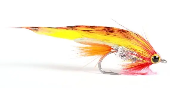 Livraison Express Mickey Finn Zonker #4