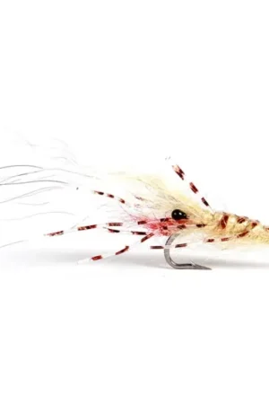 Produit De Marque Leoshrimp Tan #6