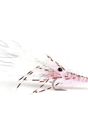 Leoshrimp Pink #6 Soldes