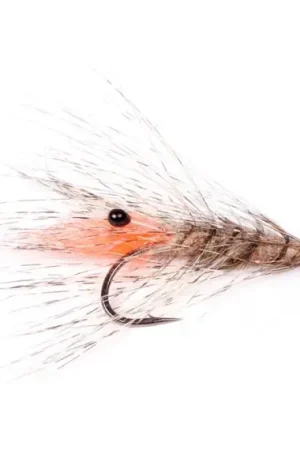 Guideline Laser Shrimp #6 Livraison Express