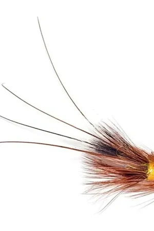 Pot Belly Pig - Creme Brulee 0,75 Copper Tube Commander Maintenant