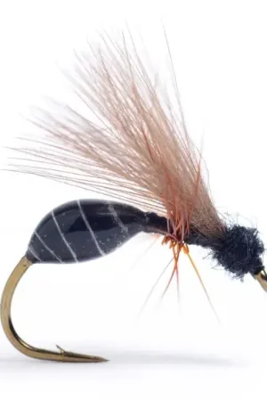 RS Glue Ant Black #14 Offre Limitée