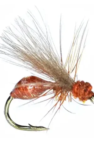 Vente Directe RS Glue Ant Rusty Brown #14