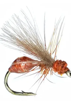 Umpqua RS Glue Ant Rusty Brown #16 Produit De Marque