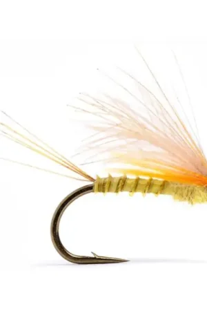 Offre Exclusive CDC Biot Dun Emerger PMD #14