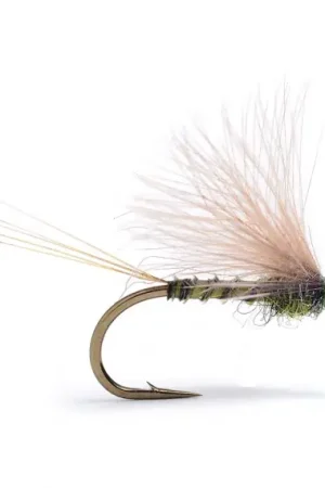 Umpqua Cdc Biot Dun Emerger DK Olive#16 Meilleur Prix