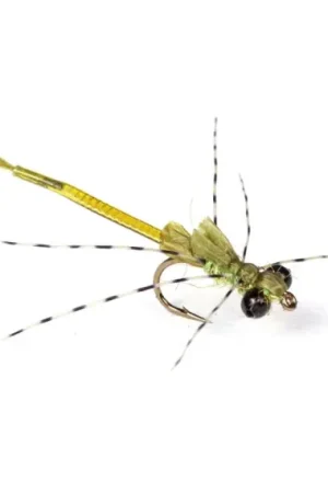 Offre Exclusive Umpqua Ultra Damsel Variant #12
