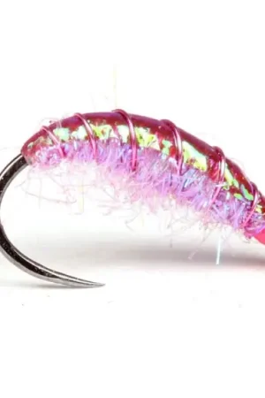 Funky Shrimp #12 Must-Have