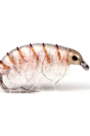 Prix Choc Guideline UV Gammarus #8 - White
