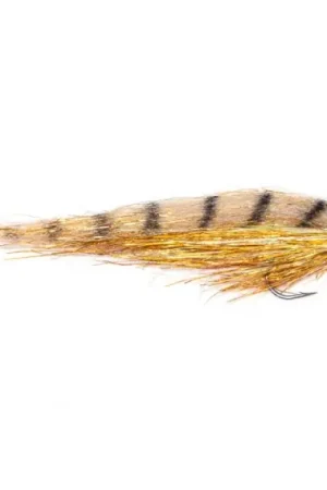 Vente Directe Guideline Sunny Day Predator #4/0 – 20cm