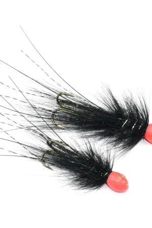 Populaire Guideline Kursk Orange Head Large