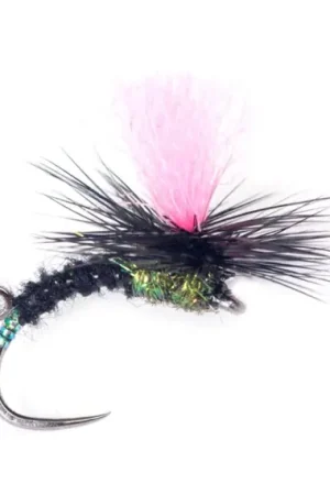 Dernière Chance Guideline Indi Black Klink #12