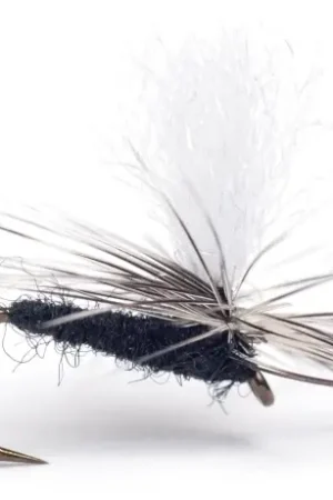 Guideline Rena Midge - # 18 Commander Vite