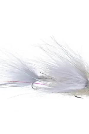 Guideline Dragon Mini Bond Whitey Expédié Aujourd'hui