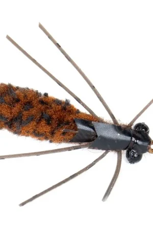 Achetez Aujourd'hui Guideline Mop Dragon Brown #10