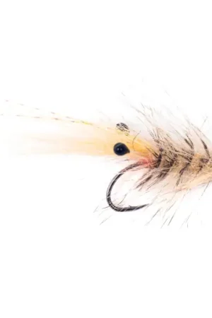 Guideline Hackle Shrimp #6 Haute Qualité