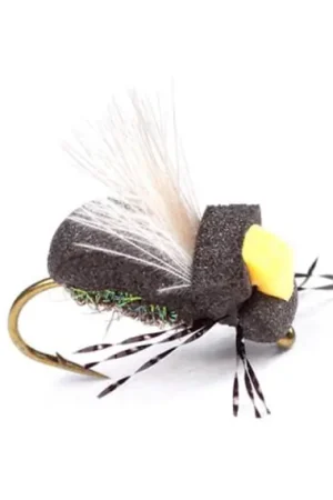 Populaire Guideline High-Viz Peacock Beetle - #14