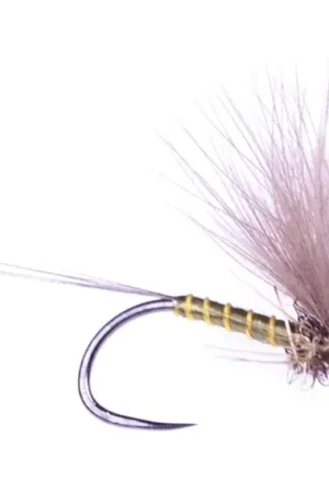 Guideline F-Dun Olive-LDO #18 Prix Réduit