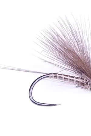 Offre Spéciale Guideline F-Dun Grey/Olive #16