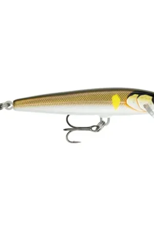 Produit De Marque Rapala Floater Elite 12cm - GDAY