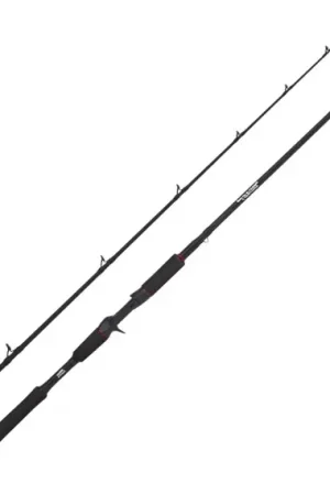 Réduction Abu Garcia Beast Pike 662HP 40-90g Jerkbait Casting