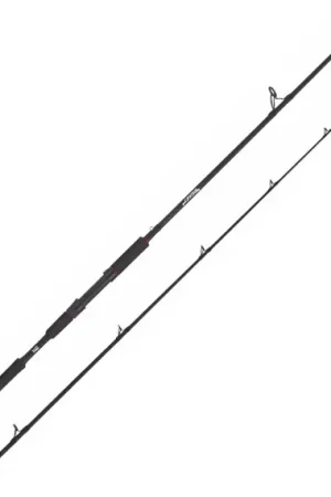 Haute Qualité Abu Garcia Beast Pike 862XXH 40-140g Spinning