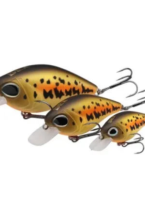 Berkley Dex Thumper Floating 5,5cm, 11,8g - Rainbow Trout Pas Cher