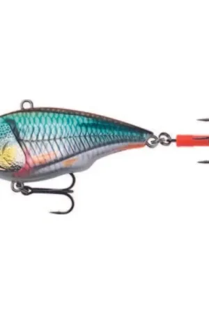 Achat Immédiat Savage Gear Fat Vibes XL 10cm, 58g Sinking - Roach
