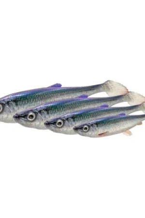 Achat Immédiat Savage Gear 3D Herring Shad 17,5cm, 35g (2pcs) - Bream