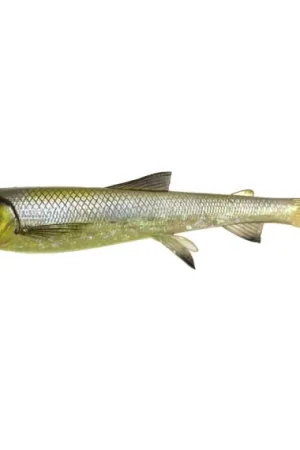 Haute Qualité Savage Gear 3D Whitefish Shad 27cm, 152g - Hugo