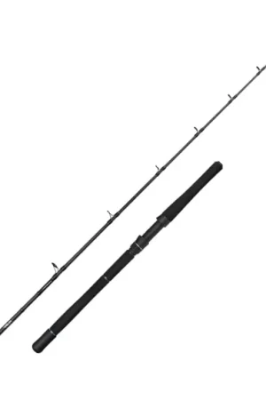 Vente Flash Savage Gear Fury SG2 Halibut - 190cm, 6'2'' /40-60Lb/800g 1+1