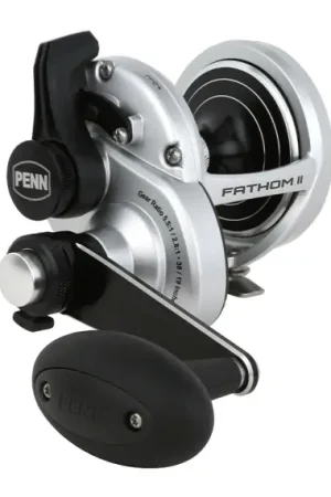 Top Vente PENN Fathom II Bent T-Handle - 15LD2