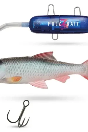 Satisfait Ou Remboursé Pulz Bait Starter Kit Roach 15cm - Crucian Carp