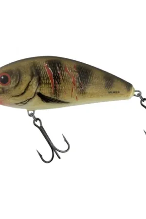 Seulement Aujourd'hui Salmo Fatso Floating 12cm - Bright Perch