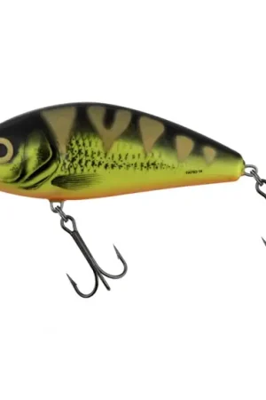 Réduction Salmo Fatso 14S - Holo Perch