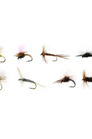 Acheter En Ligne Pool 12 Torrflugor 2